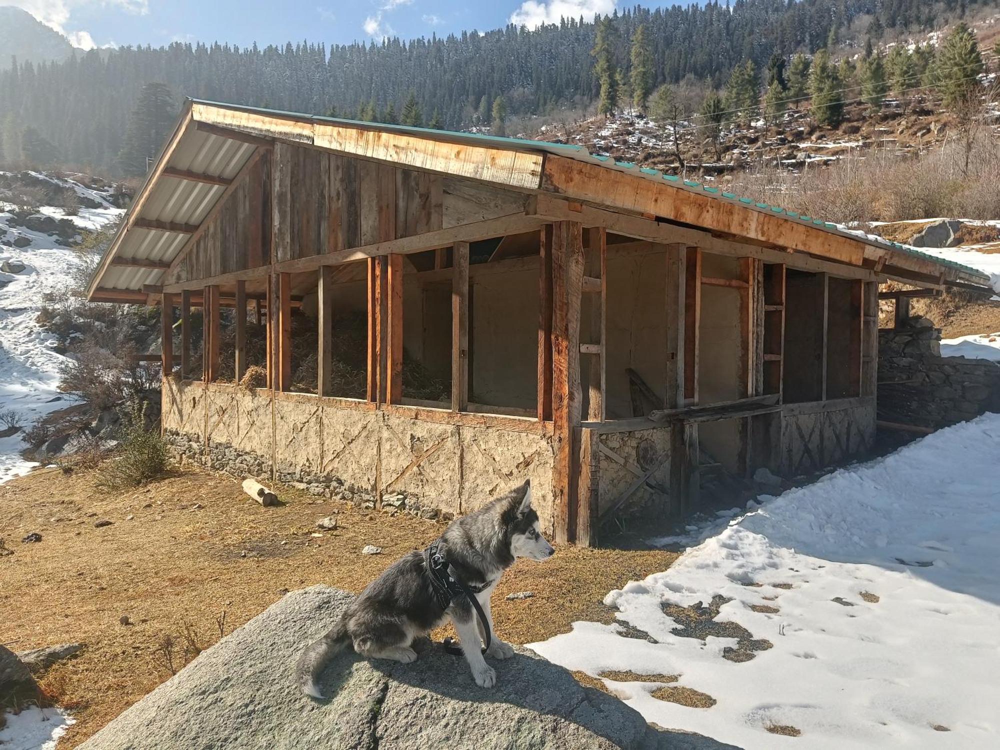 Trimounts-A Boutique Hotel & Wellnes Center In Tirthan Valley Banjār 外观 照片
