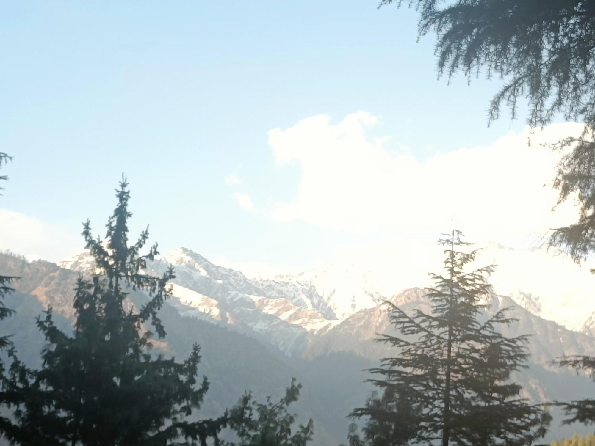 Trimounts-A Boutique Hotel & Wellnes Center In Tirthan Valley Banjār 外观 照片