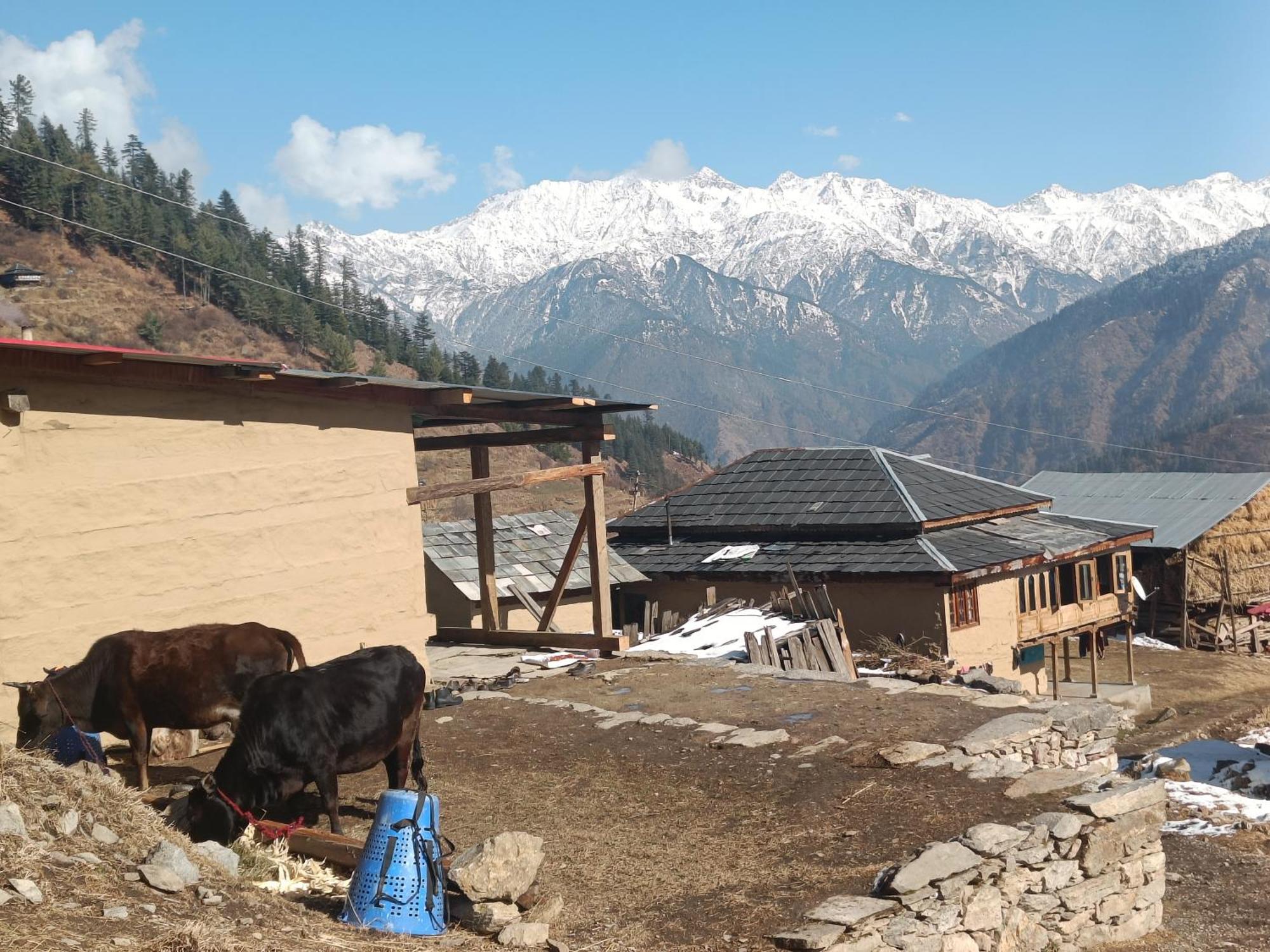 Trimounts-A Boutique Hotel & Wellnes Center In Tirthan Valley Banjār 外观 照片