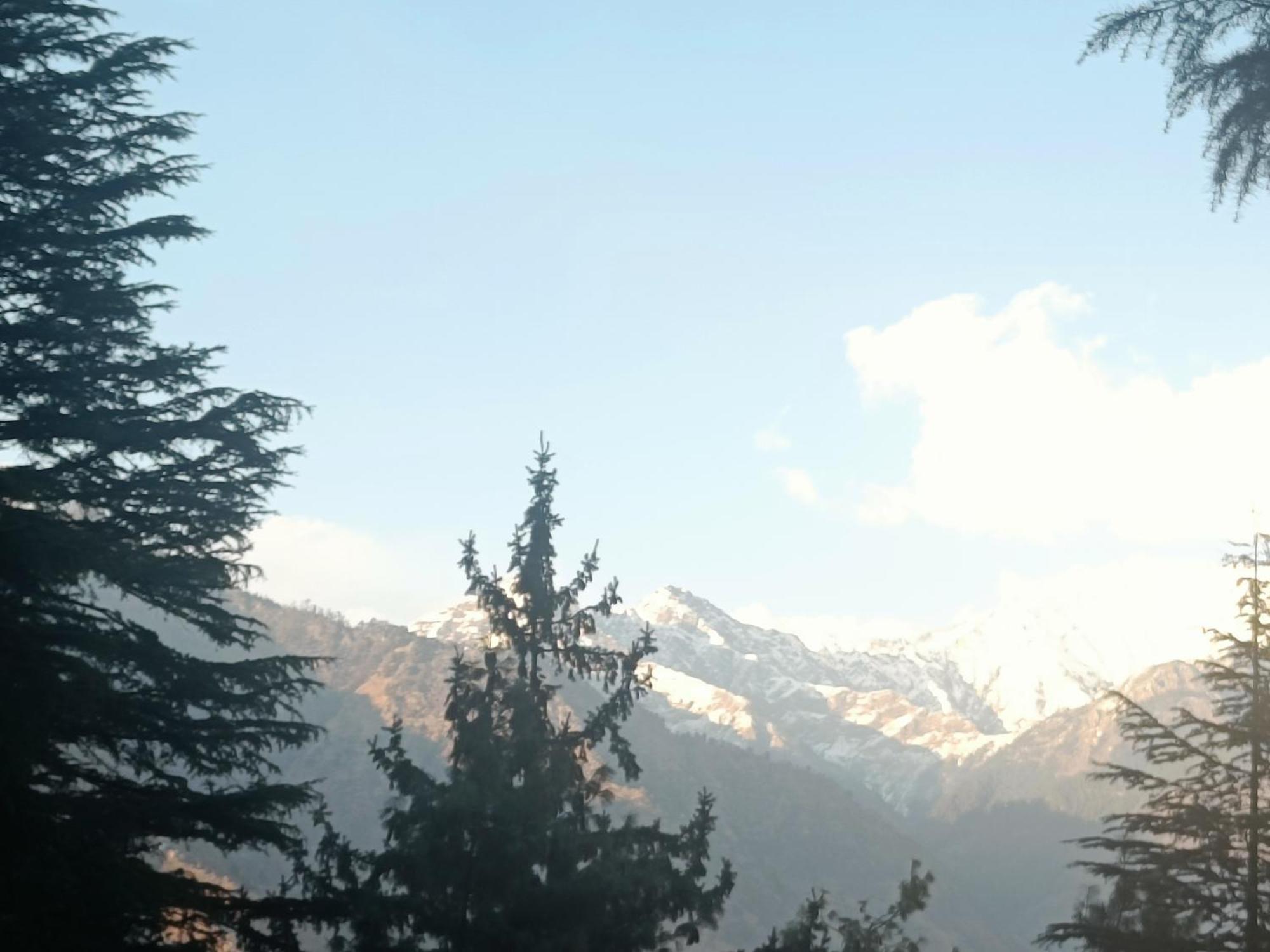 Trimounts-A Boutique Hotel & Wellnes Center In Tirthan Valley Banjār 外观 照片